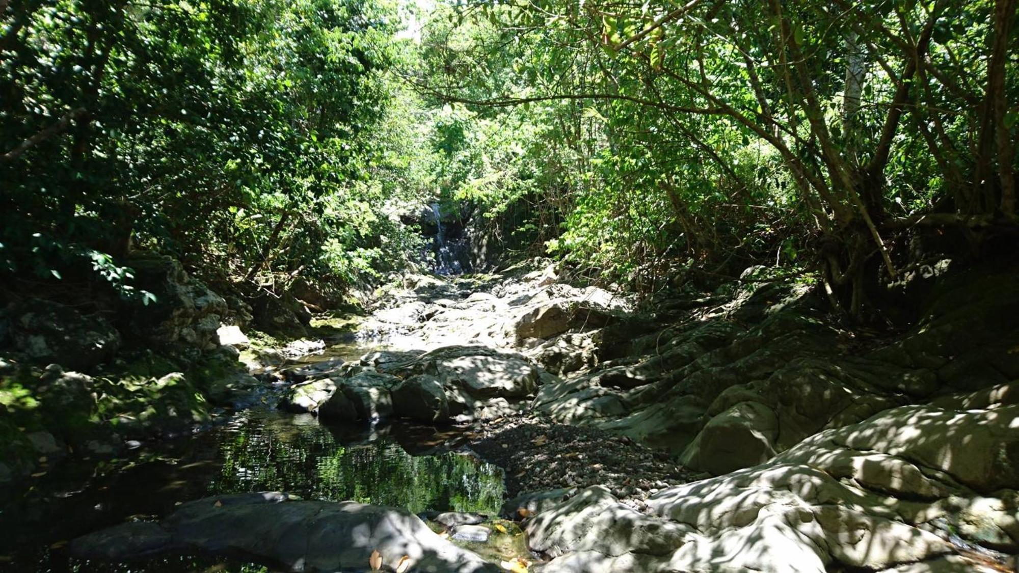 Awmony'Kaz, Gite A Trois-Rivieres Guadeloupe Exterior foto