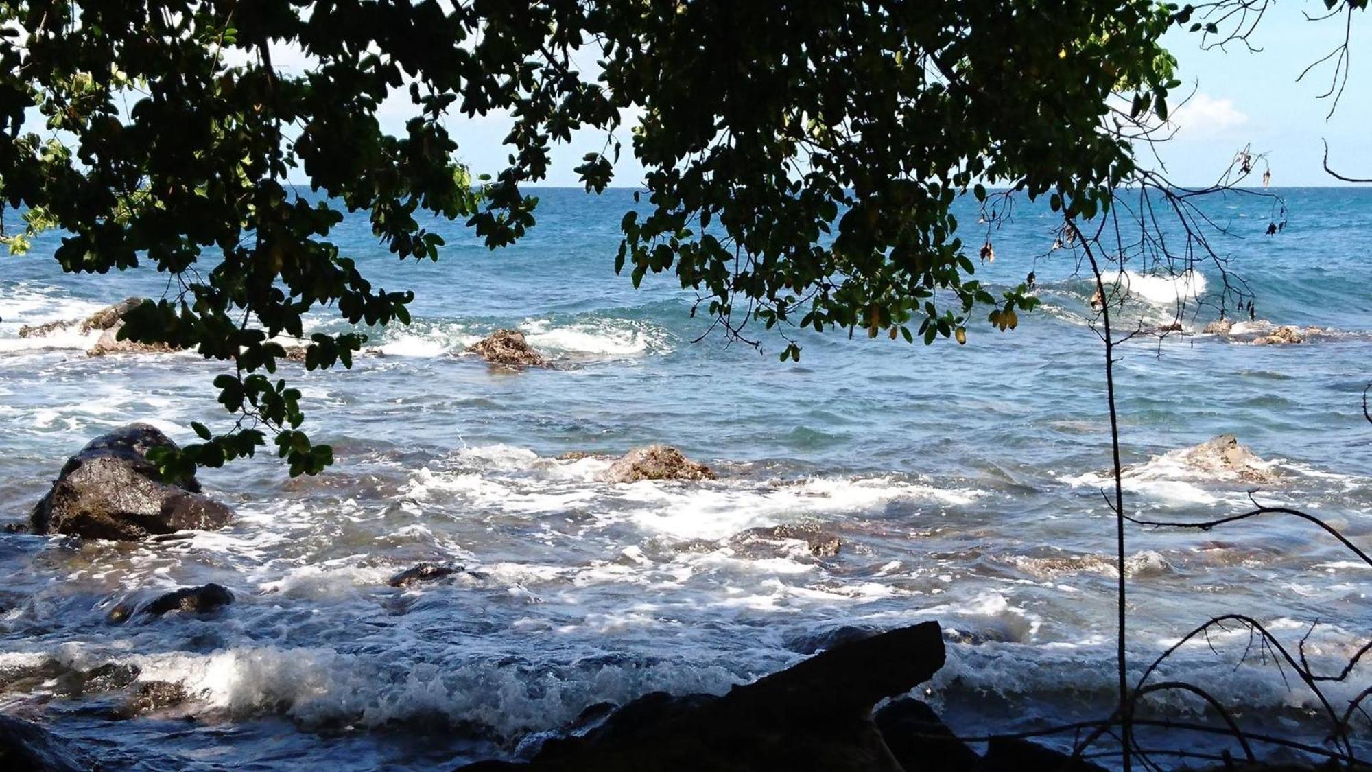 Awmony'Kaz, Gite A Trois-Rivieres Guadeloupe Exterior foto