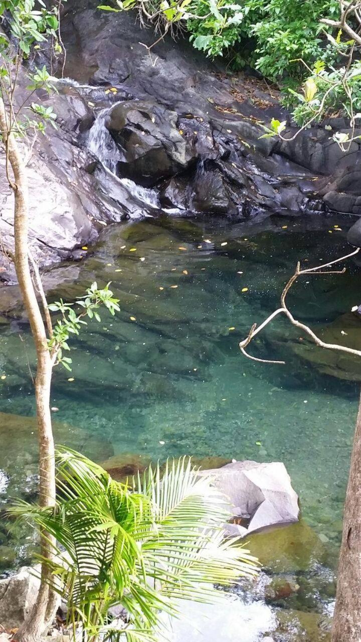 Awmony'Kaz, Gite A Trois-Rivieres Guadeloupe Exterior foto